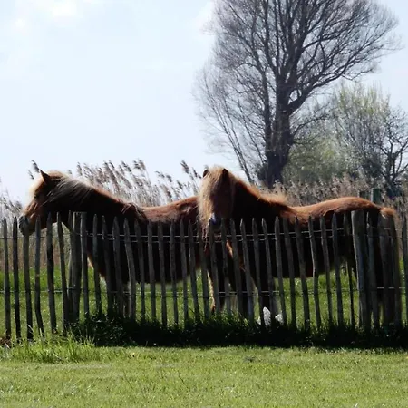 Scenic Countryside Stay, Cleaning Included Nieuwpoort
